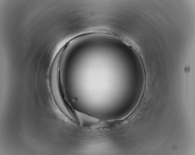 X0000090480960200707201413