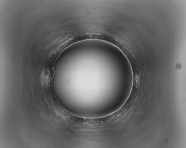 X0000090480963200707201412