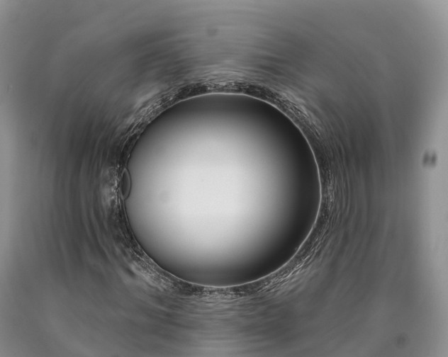X0000090480964200707201412