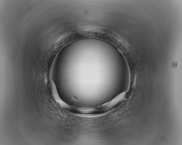 X0000090480965200707201412
