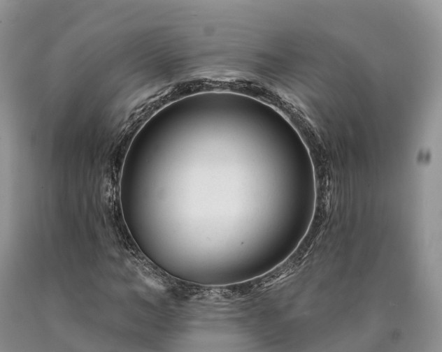 X0000090480966200707201412