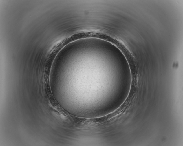 X0000090480967200707201412