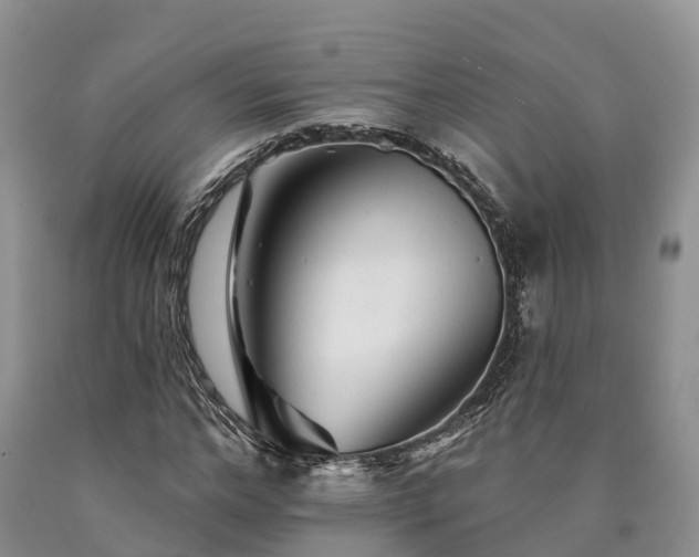 X0000090480968200707201412