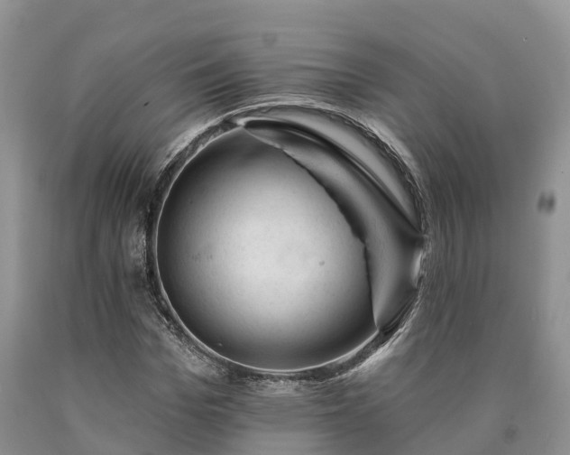 X0000090480969200707201412