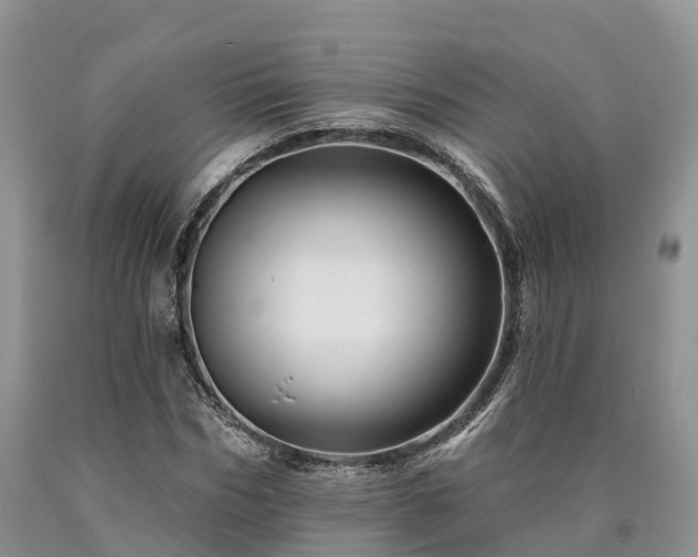 X0000090480970200707201412