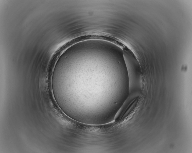 X0000090480971200707201412