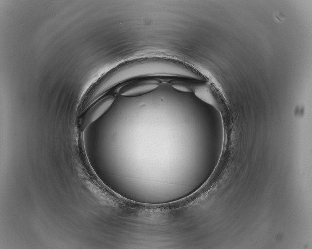 X0000090480973200707201412