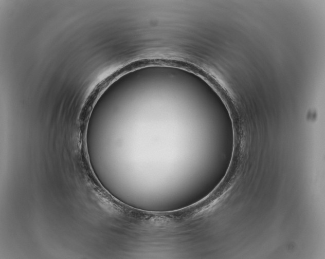 X0000090480974200707201412