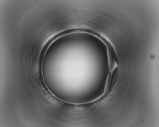 X0000090480975200707201412