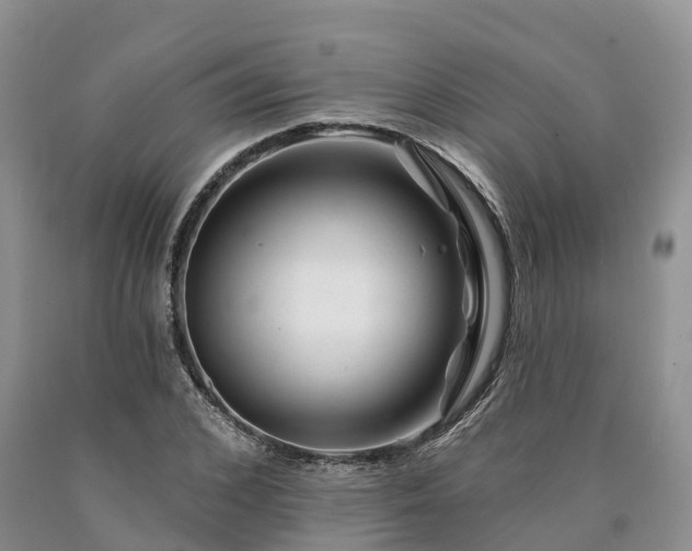 X0000090480976200707201412