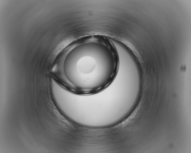 X0000090480977200707201412