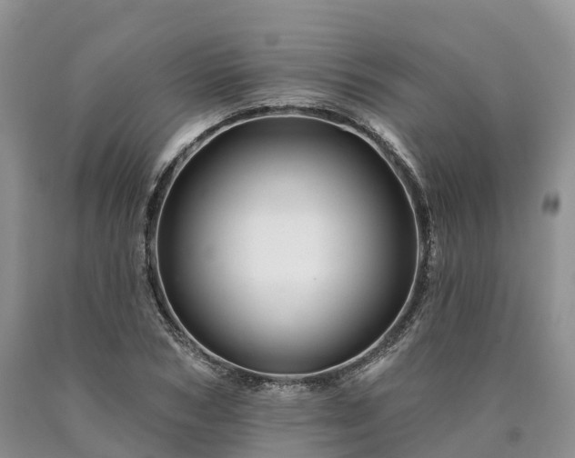 X0000090480978200707201412