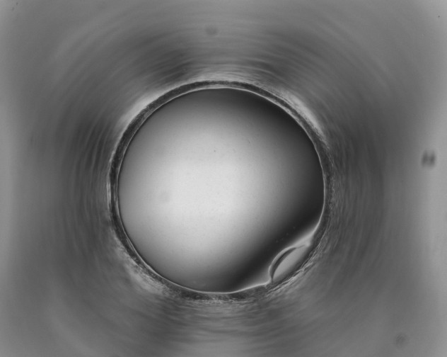X0000090480980200707201412