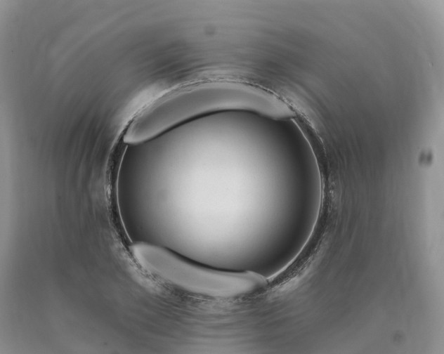 X0000090480981200707201412