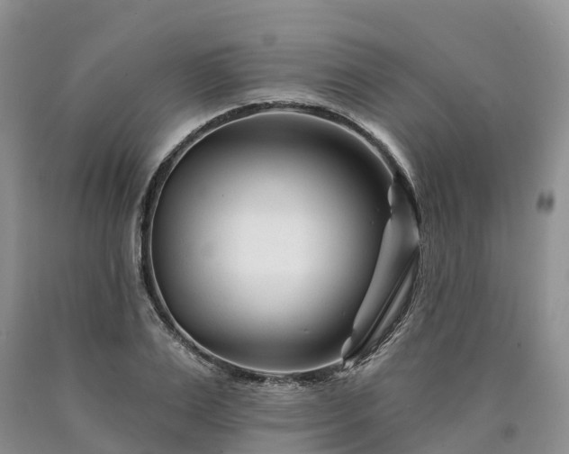 X0000090480983200707201412