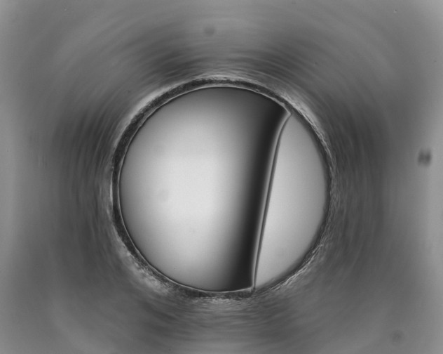 X0000090480984200707201412
