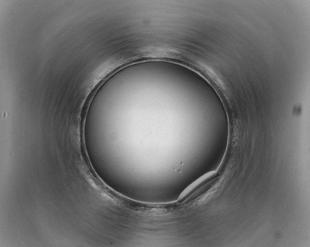 X0000090480986200707201412