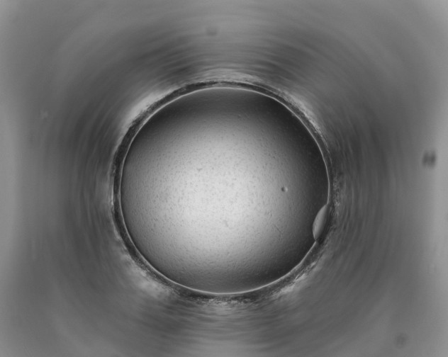 X0000090480987200707201412