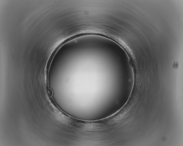 X0000090480988200707201412