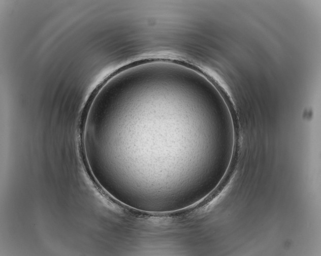 X0000090480989200707201412