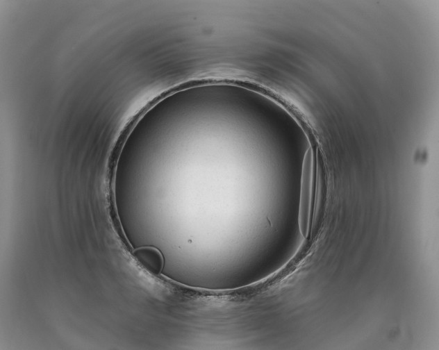 X0000090480990200707201412