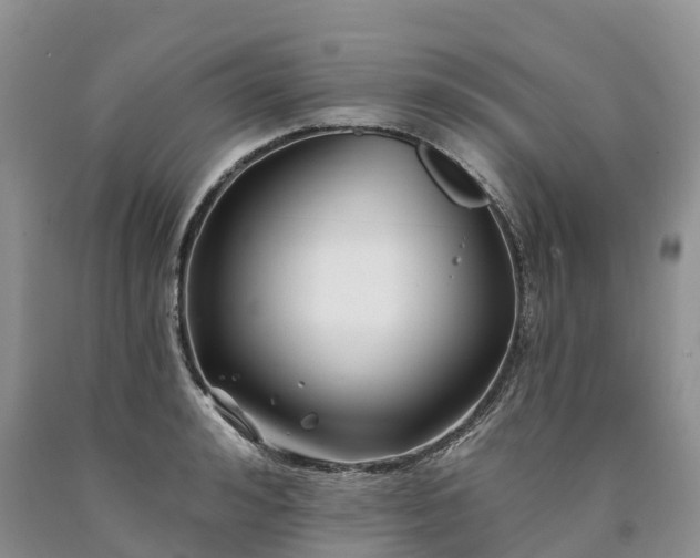 X0000090480992200707201412