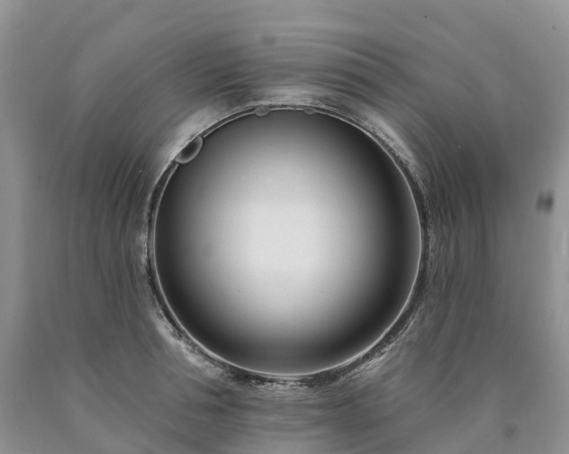 X0000090480994200707201412