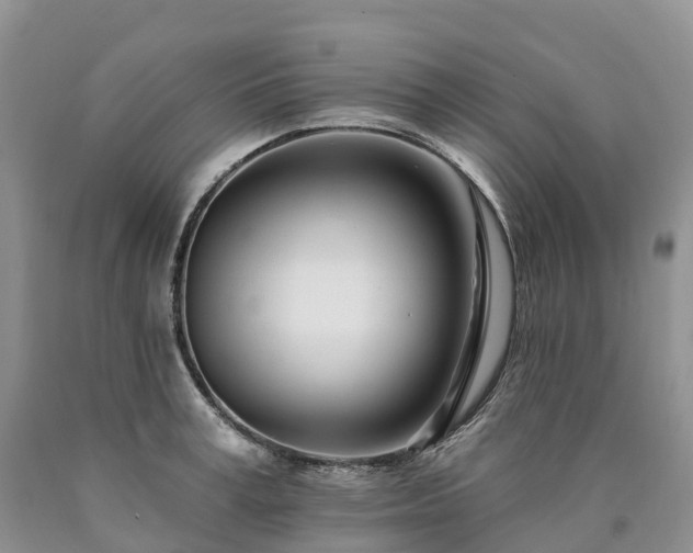 X0000090480995200707201412