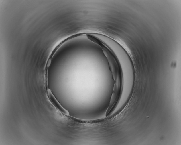 X0000090480996200707201412