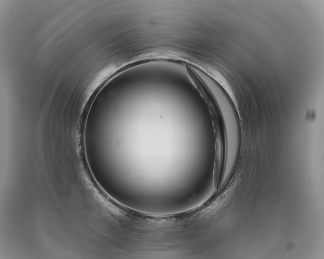 X0000090480997200707201412