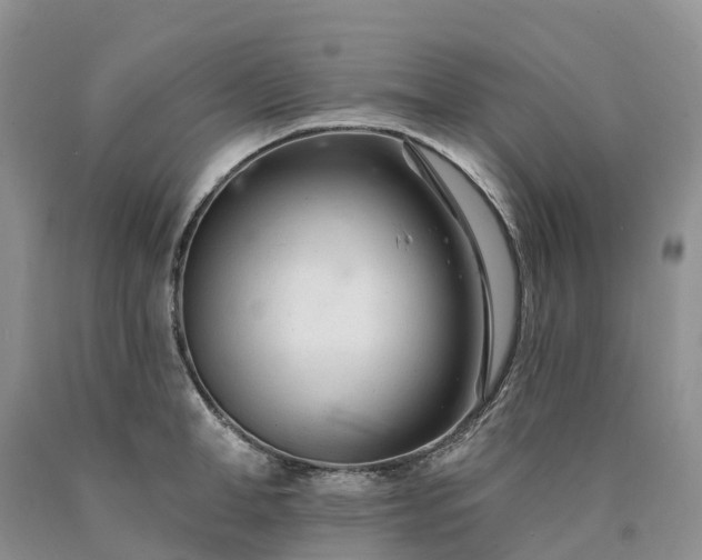 X0000090480998200707201412