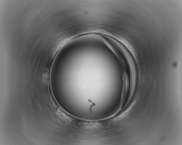 X0000090481001200707201411