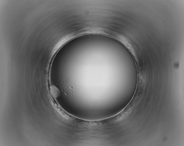 X0000090481002200707201411