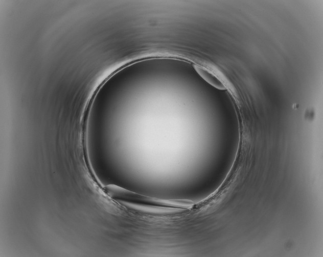 X0000090481004200707201411