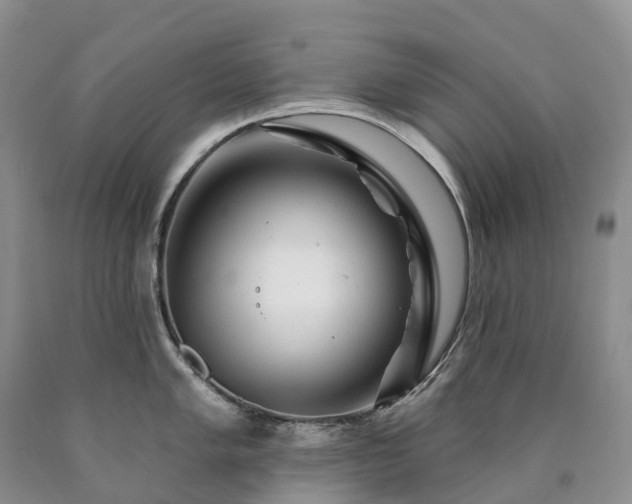 X0000090481005200707201411