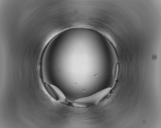 X0000090481007200707201411
