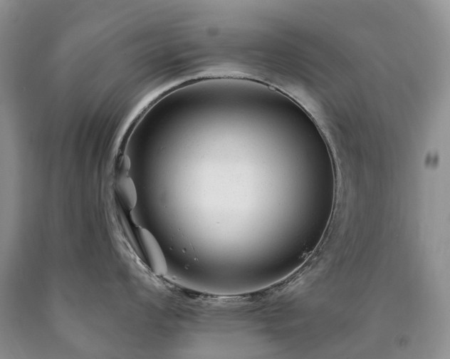 X0000090481008200707201411