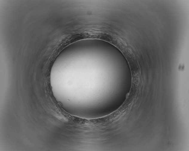 X0000090481009200707201411