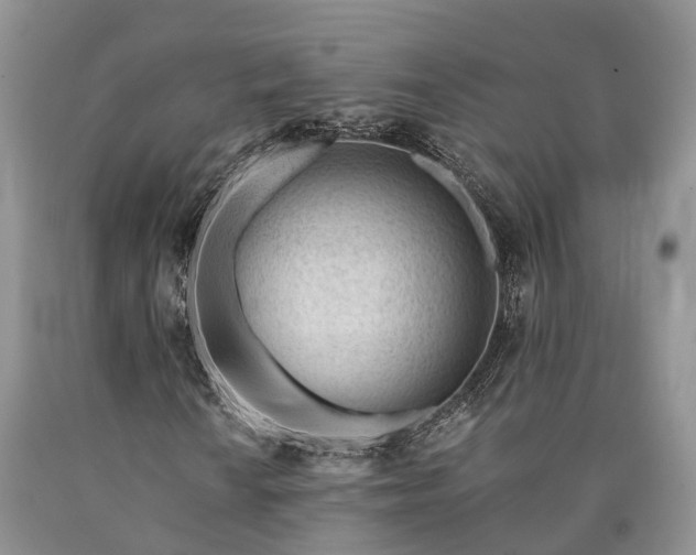 X0000090481010200707201411