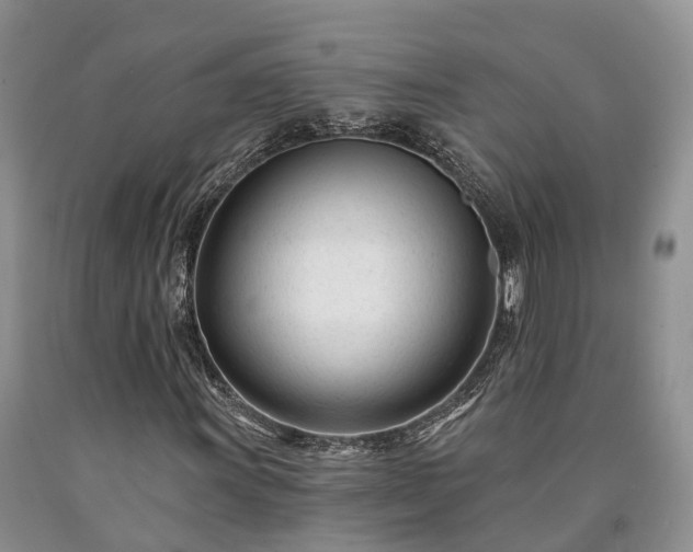 X0000090481011200707201411
