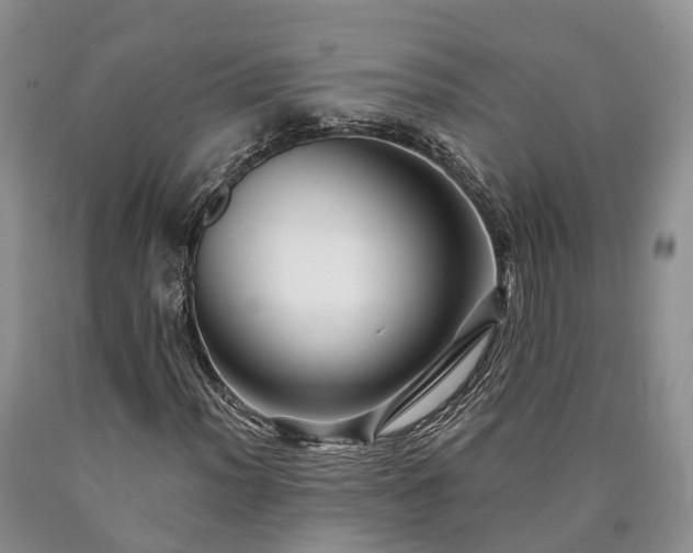 X0000090481012200707201411