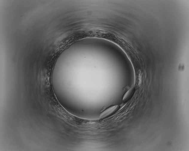 X0000090481013200707201411