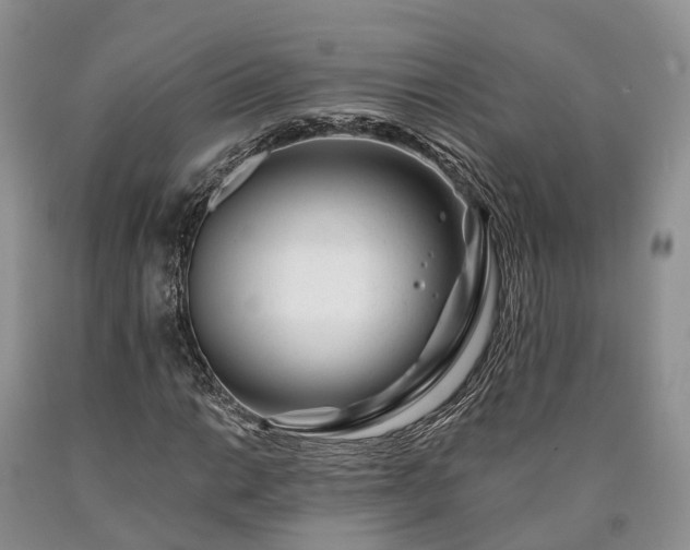 X0000090481014200707201411