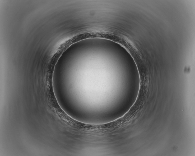 X0000090481016200707201411