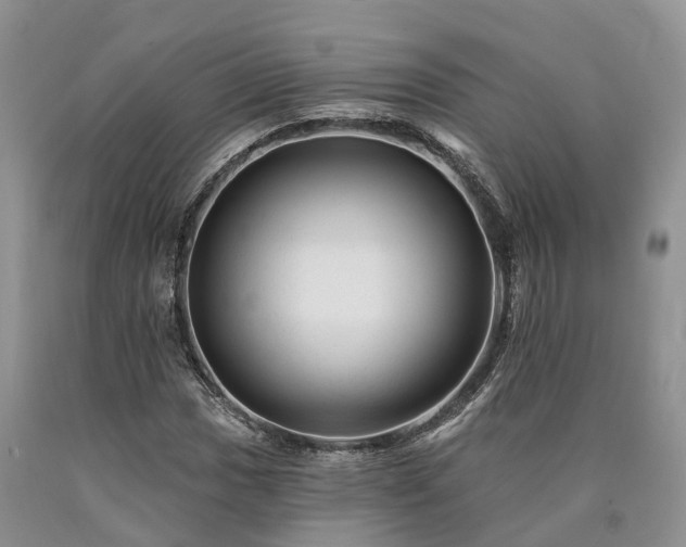 X0000090481017200707201411