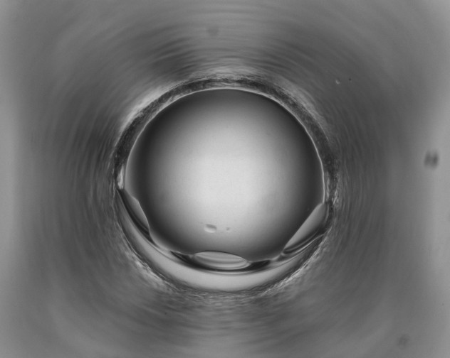 X0000090481018200707201411