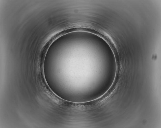X0000090481019200707201411