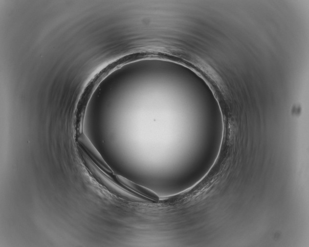 X0000090481020200707201411