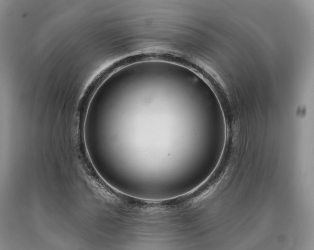 X0000090481021200707201411
