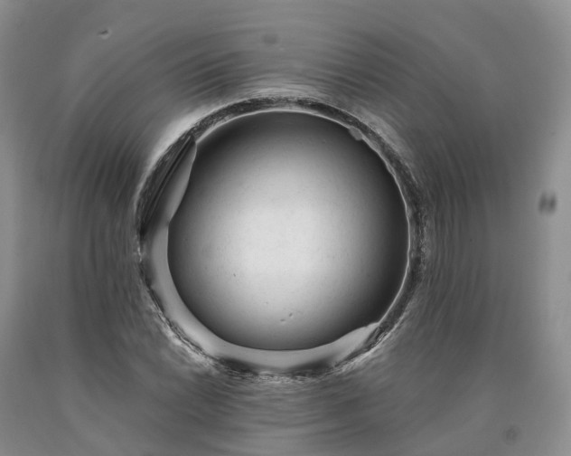 X0000090481022200707201411
